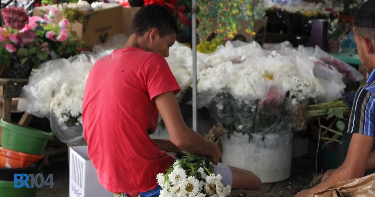 Ambulantes estão otimistas com as vendas de flores e produtos relacionados ao feriado (Crédito: Gustavo Lopes/BR104)