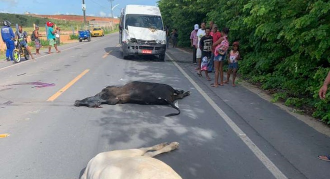 Apesar do impacto da colisão, não houve registro de feridos gravemente (Crédito: Reprodução)