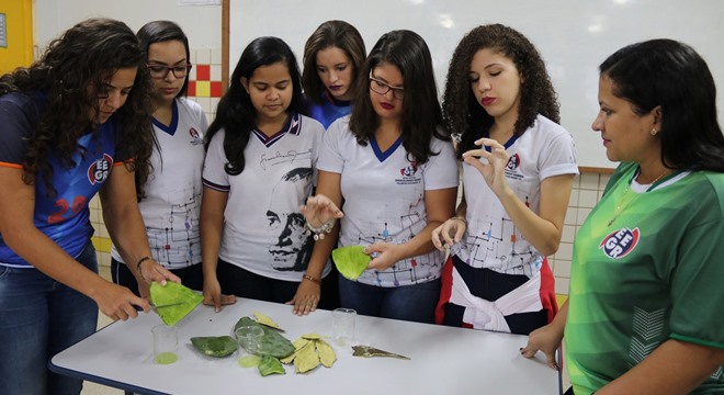 Projeto da Escola Graciliano Ramos usa juá e palma na produção de xampu (Crédito: Valdir Rocha)
