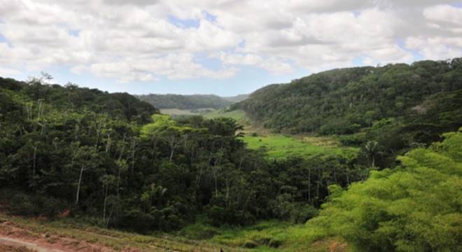 Entre 2017 e 2018 foram desmatados 113 Km² no bioma, o menor desmatamento registrado pelo Atlas da Mata Atlântica desde 1985 — © IMA/AL