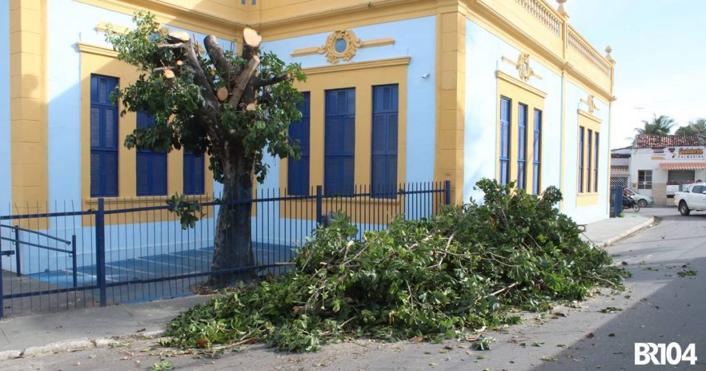 Prefeitura de União realiza poda e corte de árvores que representam risco
