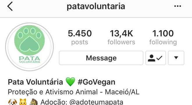 A decisão assinada pelo juiz de direito George Leão deferiu o pedido e já foi remetida para o Instragram, para imediato cumprimento — © Reprodução