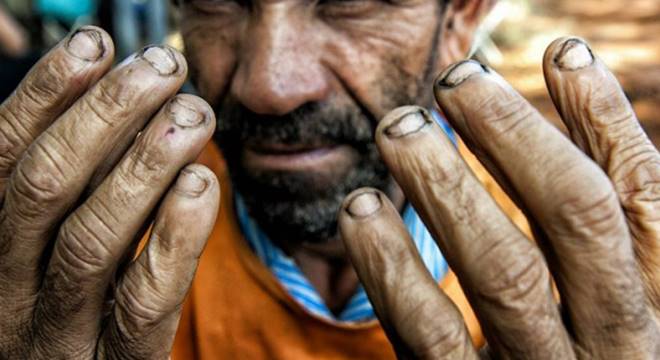 MPT investigará suposto caso de trabalho análogo a de escravo que envolveu 18 lavradores de Piranhas — © Reprodução/Internet