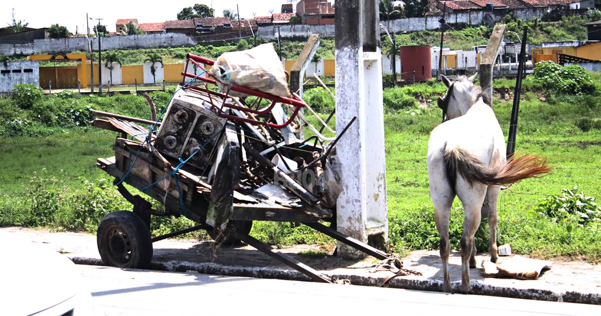Cavalo sai em disparada e carroça bate em poste em União dos Palmares — © Gustavo Lopes/BR104