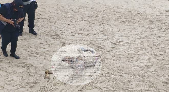 Corpo foi encontrado enterrado na areia da Praia do Francês, em Marechal Deodoro, na tarde do último sábado (27) — © Cortesia