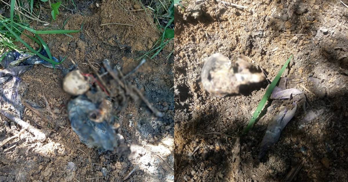 Família reconheceu algumas peças de roupa e uma sandália que foram encontrados junto com os restos mortais — © Cortesia