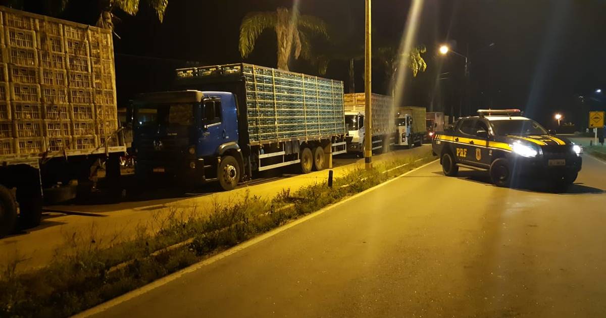  Seis caminhões foram apreendidos por transportar mercadoria sem nota fiscal — © Ascom/PRF