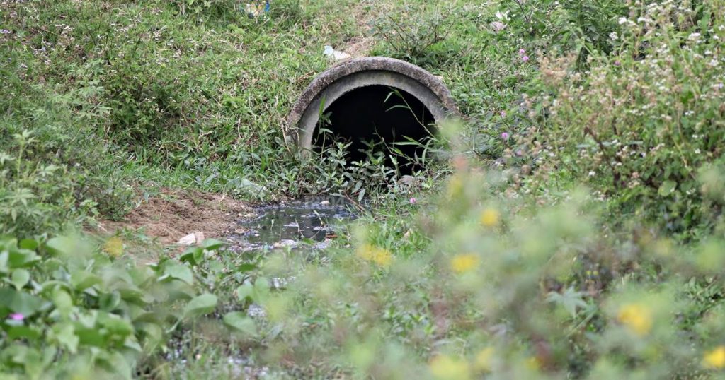 Esgoto a céu aberto causa transtornos a moradores de União dos Palmares