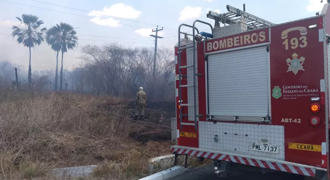 Bombeiros combatem incêndio em vegetação na AL-205 em Santana do Mundaú — © Imagem Ilustrativa