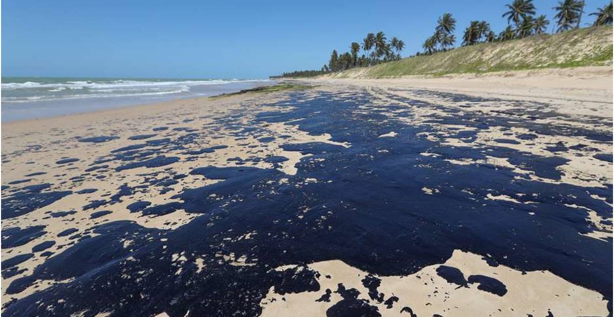 IMA tem ajuda de voluntários na remoção de óleos que afetam as praias do litoral alagoano — © Carlos Ezequiel 