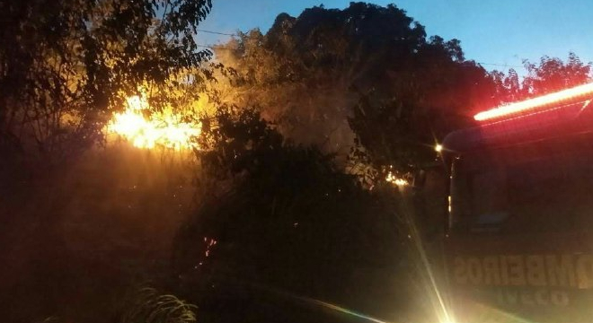 Incêndio atinge vegetação próximo a antiga Usina Laginha — © Ascom/CBM