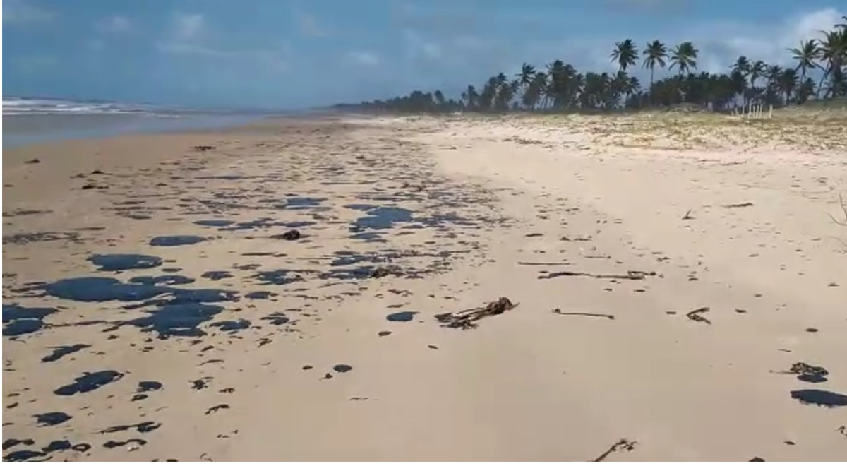 Prefeitura de Maceió lança ferramenta digital que monitora óleos em praias da cidade — © João Arthur