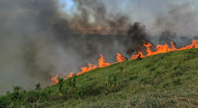 Incêndio de grandes proporções assusta moradores em São José da Laje — © Ascom/CBM