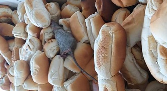 Rato encontrado em pães servidos no sistema prisional de Alagoas — © Sindapen/AL