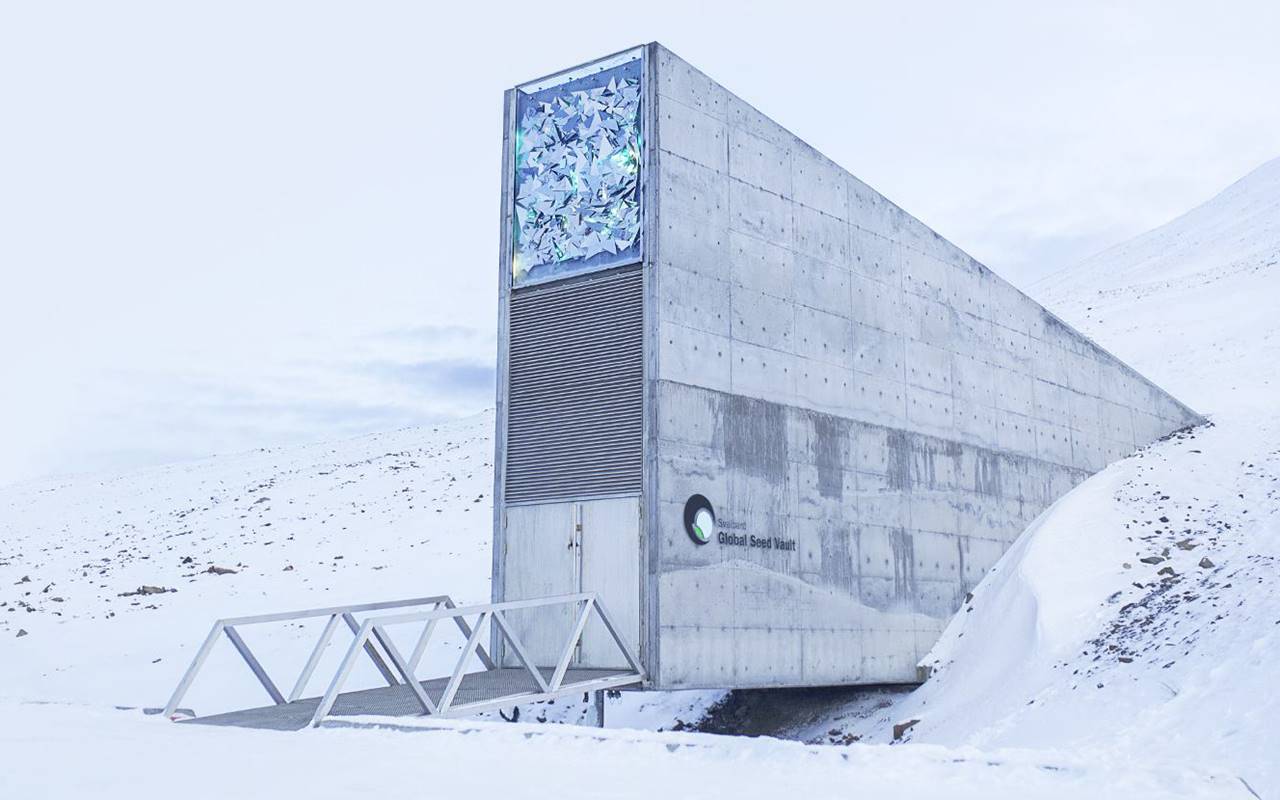 Embrapa envia sementes brasileiras para bunker localizado na Noruega