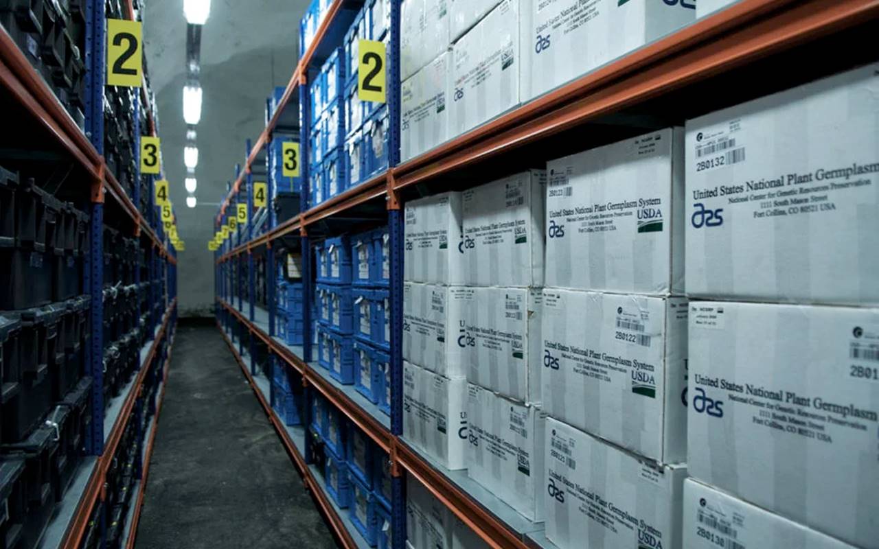 Bunker armazena as sementes de todos os alimentos do mundo — © Crop Trust/Flickr