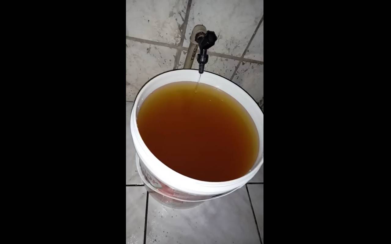 Moradores denunciam má qualidade da água em Murici — © Reprodução/Vídeo