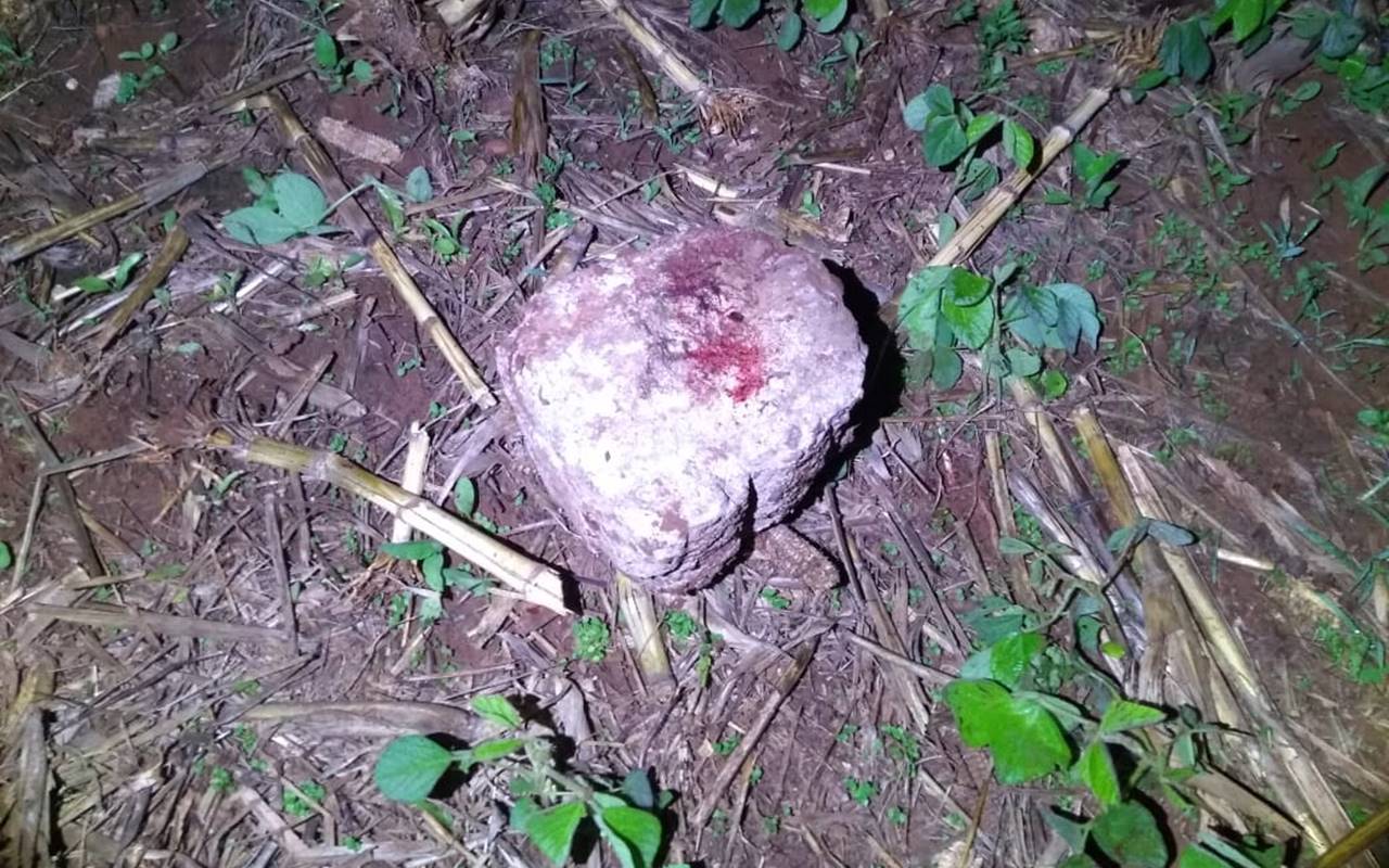 Jovem é assassinado com pedradas na cabeça em Murici — © Ilustração