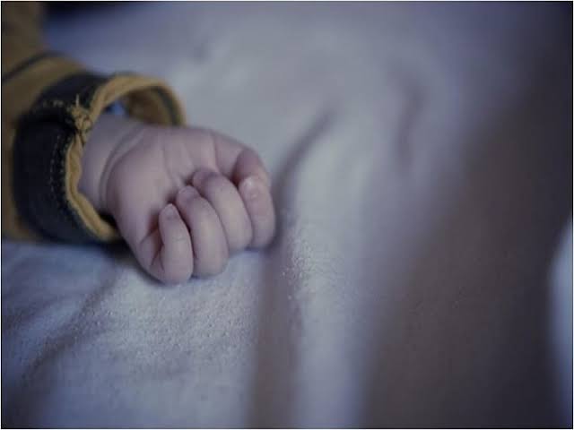 Bebê é encontrado morto preso em arames farpados em Ibateguara — © Reprodução