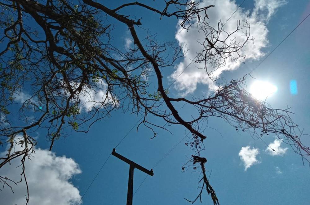 Tempo muda e fim de semana pode ter chuva em Alagoas, aponta Semarh