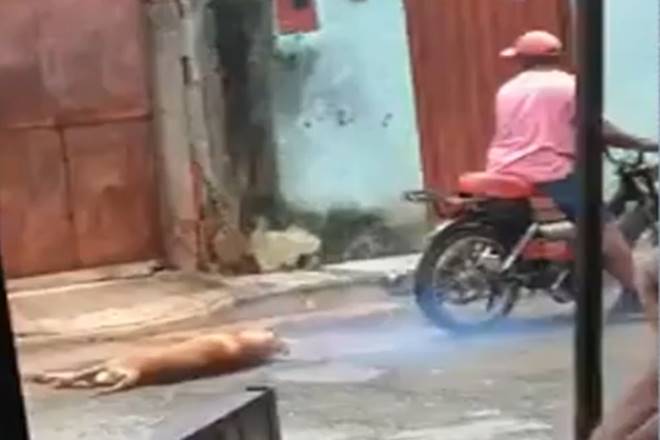 Homem é preso suspeito de agredir e arrastar cachorro amarrado a moto; veja vídeo