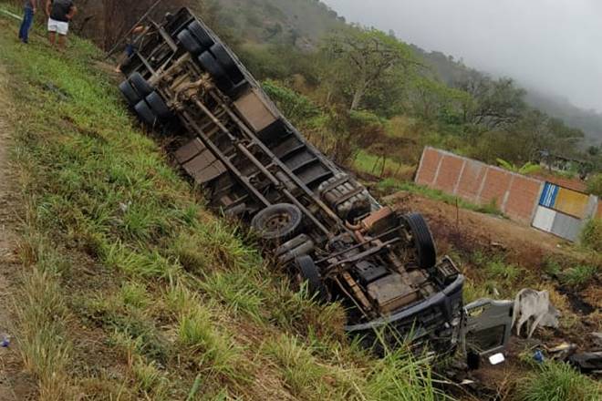 Caminhão carregado de bois que saiu de União tomba na BR-104, em PE