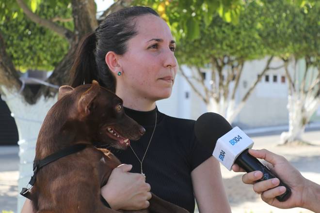 ONG realiza feira de adoção de animais em União dos Palmares