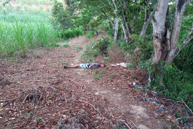 Moradores encontram corpo decapitado em matagal de São José da Laje — © Cortesia