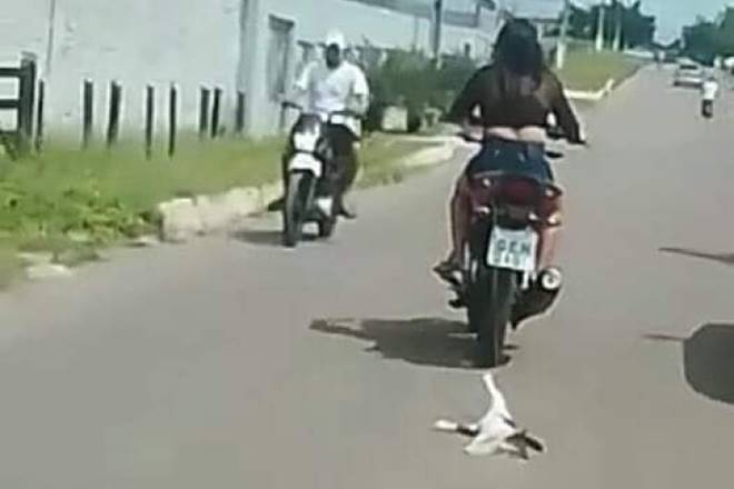Mulher arrasta gato amarrado em moto — © Reprodução