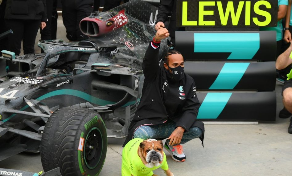 Lewis Hamilton comemora título Turquia cachorro — © Clive Mason