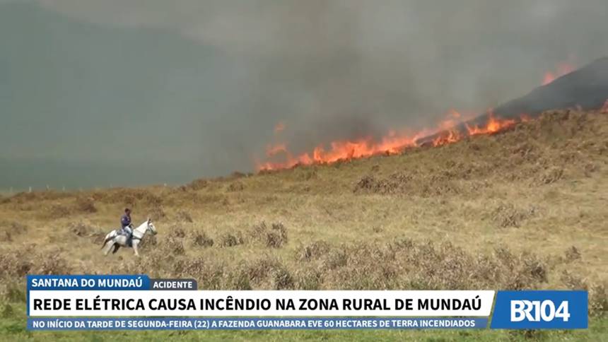 Funcionários da Fazenda Guanabrara usaram pedaços de galhos no combate ao fogo — © Reprodução/Doze em Ponto