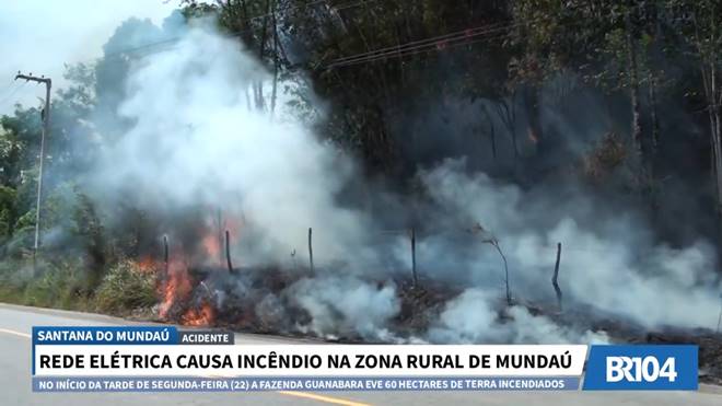 Incêndio em fazenda destrói 60 hectares de pasto em União dos Palmares — © Reprodução/Doze em Ponto