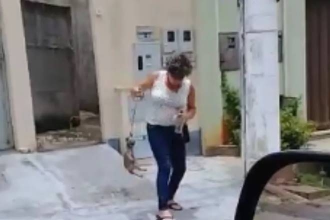 Cenas fortes: Mulher é presa após ser flagrada agredindo cachorro até a morte