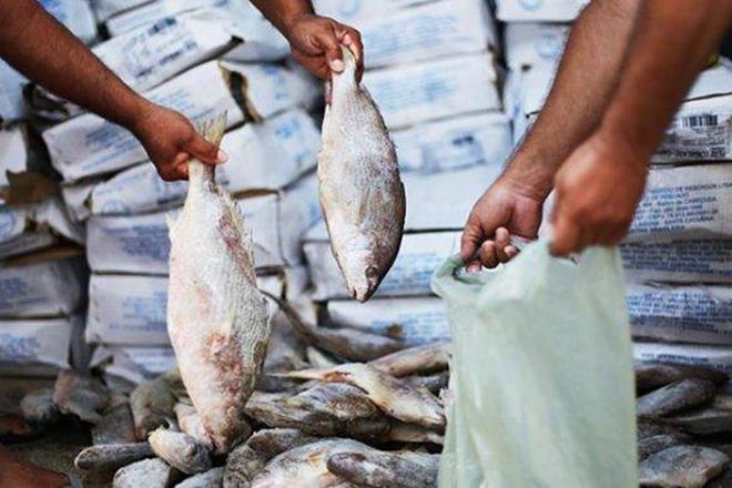 Entrega de peixes para a Semana Santa foi cancelada pelo segundo ano consecutivo em virtude da pandemia — © Reprodução