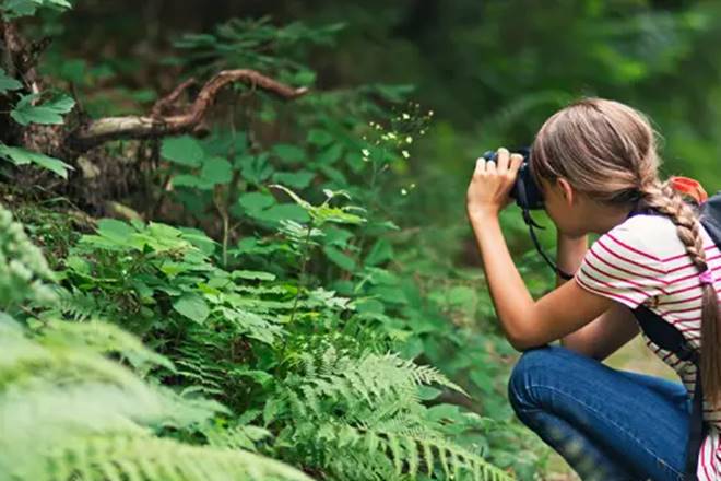 IMA abre inscrições para 5ª edição do concurso de fotografia ambiental
