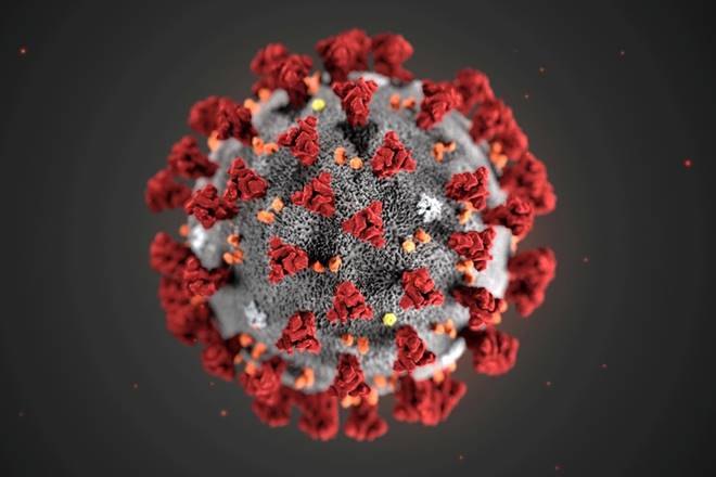 SARS-CoV-2, o coronavírus: novas mutações podem deixá-lo mais resistente — © Divulgação