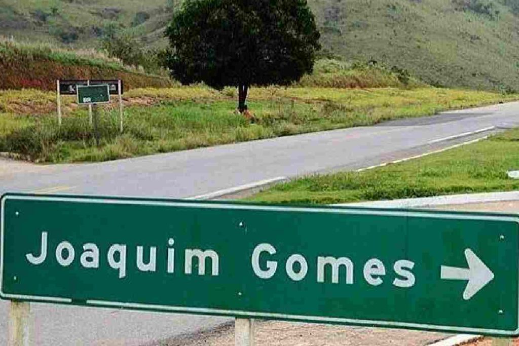 Motorista perde controle de veículo e capota na BR-101