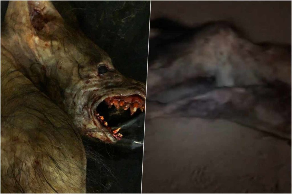 Lobisomem de Lagoa das Almas - @reprodução