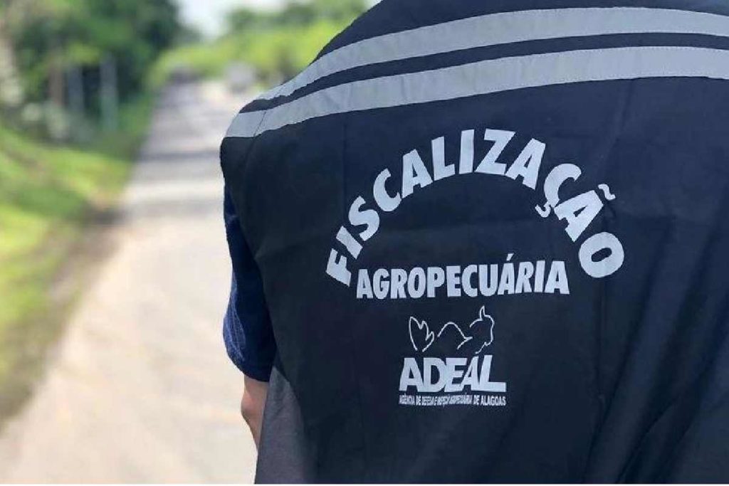 Carga de carne avaliada em R$ 50 mil é apreendida em Alagoas