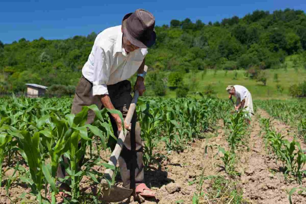 Projeto aprovado na Câmara prevê medidas de socorro a agricultores familiares