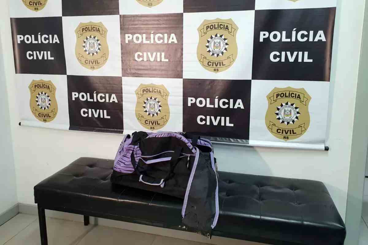 Mala onde corpo da criança foi colocado para ser transportado, segundo a polícia | © Alfredo Pereira / RBS TV