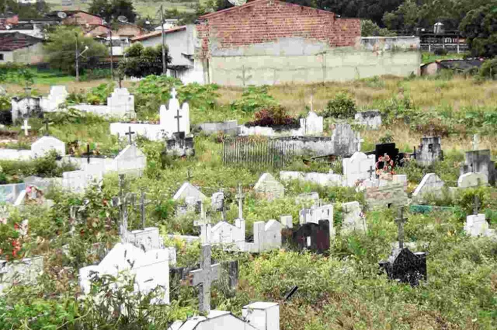 Túmulos são cobertos por matagal em cemitério de União dos Palmares