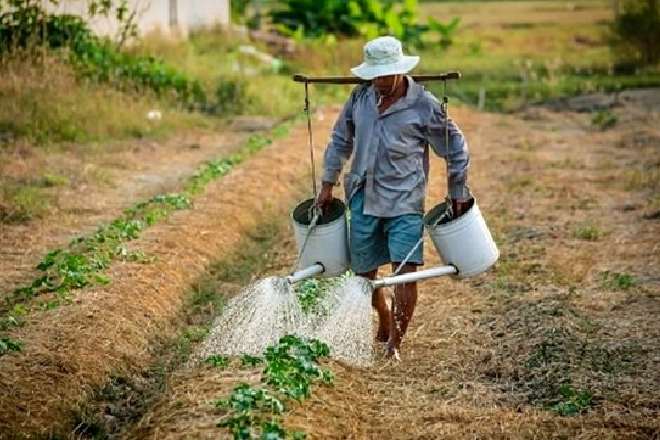 Governo Federal facilita quitação de dívidas de produtores rurais