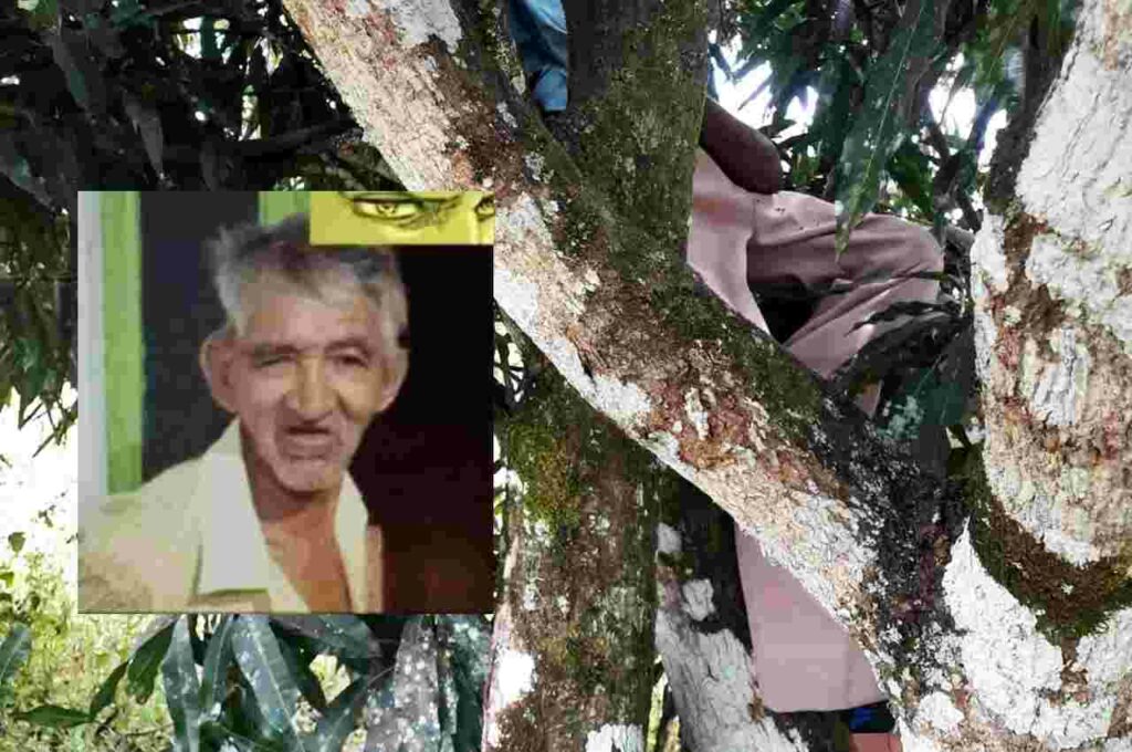 A vítima, que estava desaparecida há três dias, apresentava sinais de enforcamento | ⬆ © Cortesia ao BR104