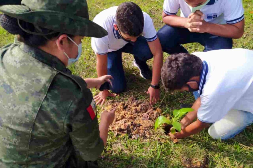 Alunos de escola em Atalaia participam de atividades alusivas ao Dia da Árvore no BPA