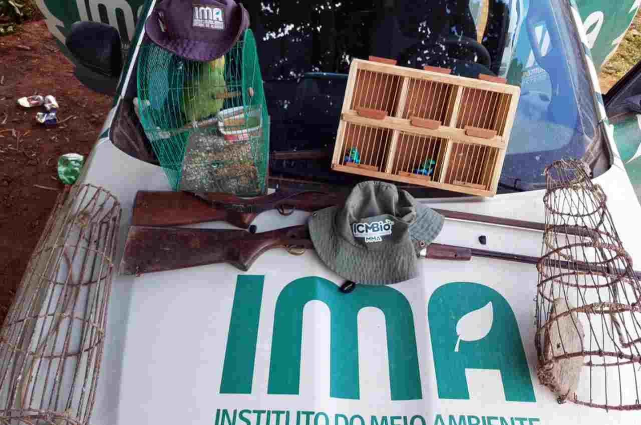 Material apreendido pelas equipes dos órgãos ambientais em União dos Palmares | © IMA
