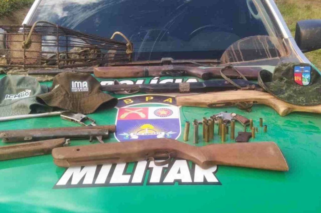 15ª edição da Operação Curupira apreende 125 aves silvestres em Murici