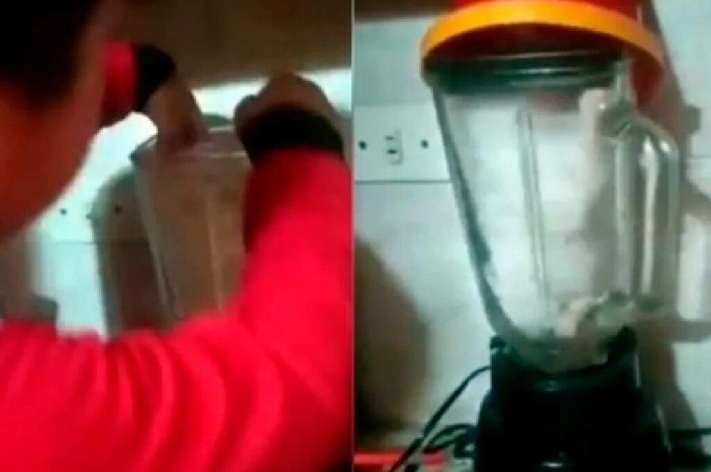 Mãe salva gato que estava prestes a ser ‘triturado’ em liquidificador pelo filho