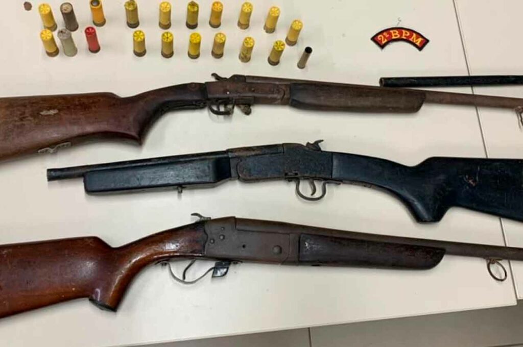 Após denúncia, polícia apreende armas enterradas em terreno baldio, em Murici