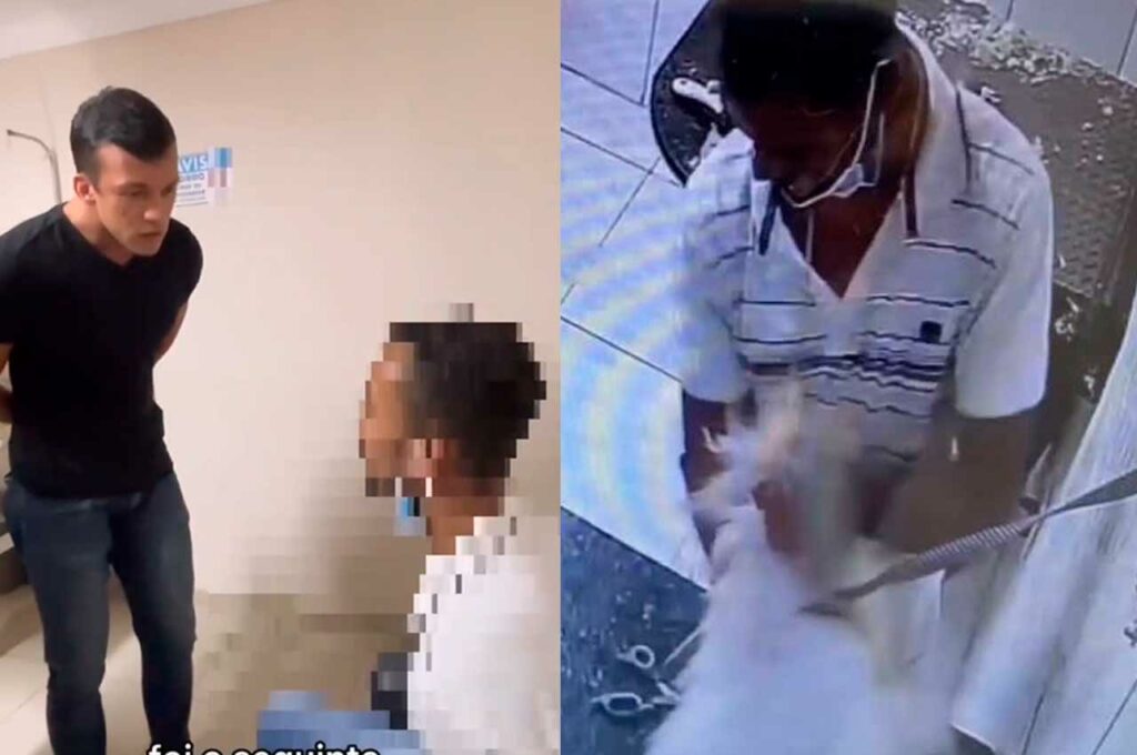 Funcionário de clínica é preso após agredir cão até a morte: “Me estressei com ele”